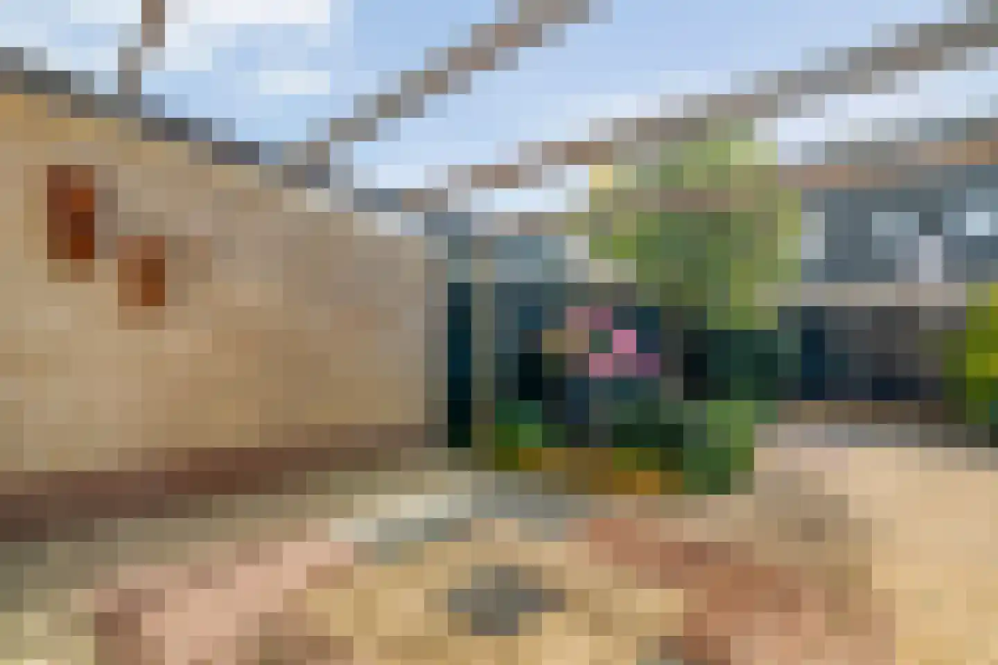 Toon Slurinkhof 36 Kampen thumbnail 29