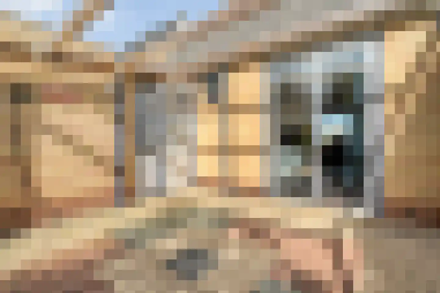 Toon Slurinkhof 36 Kampen thumbnail 30