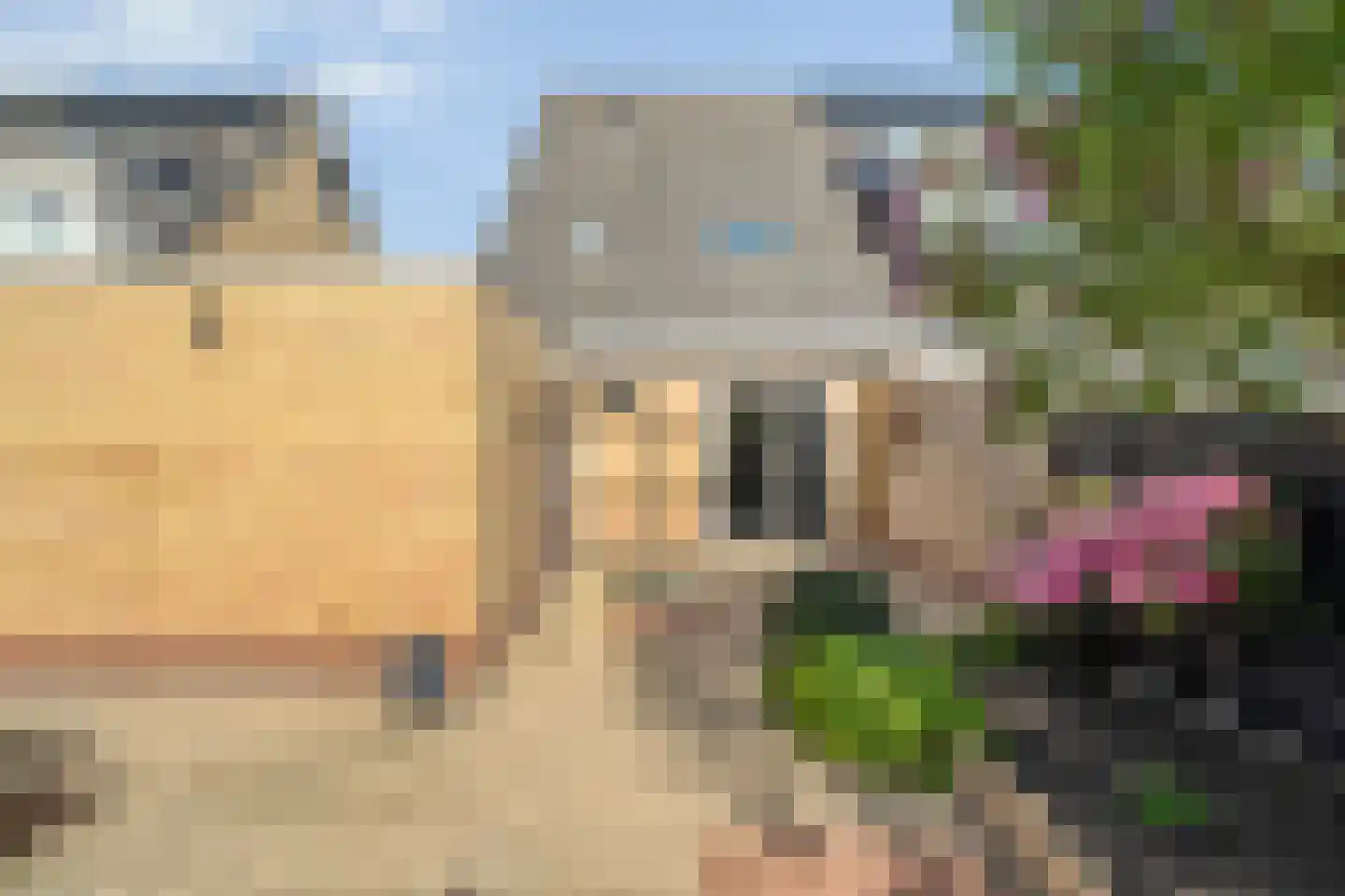 Toon Slurinkhof 36 Kampen thumbnail 34