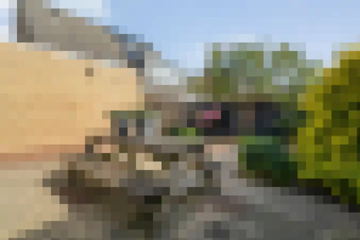 Toon Slurinkhof 36 Kampen thumbnail 35