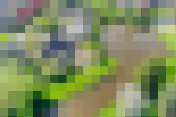 Toon Slurinkhof 79 Kampen