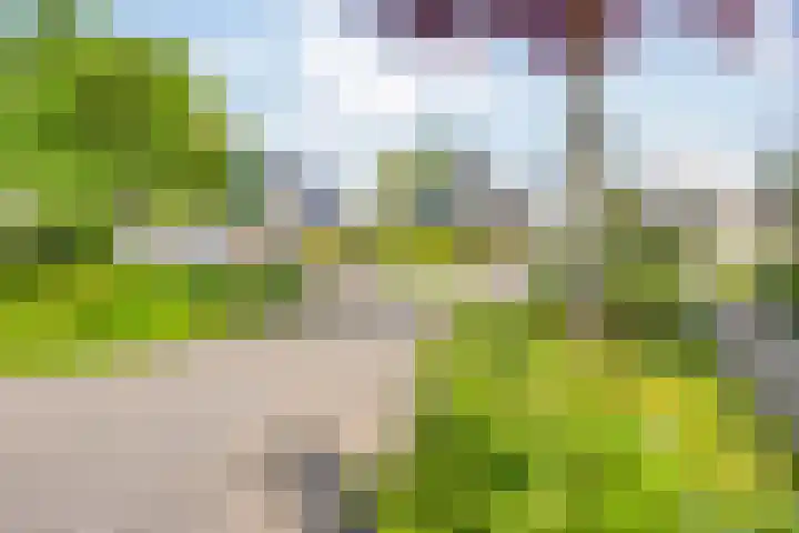 Toon Slurinkhof 79 Kampen thumbnail 10