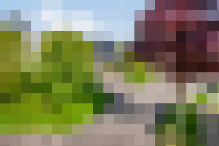 Toon Slurinkhof 79 Kampen thumbnail 11