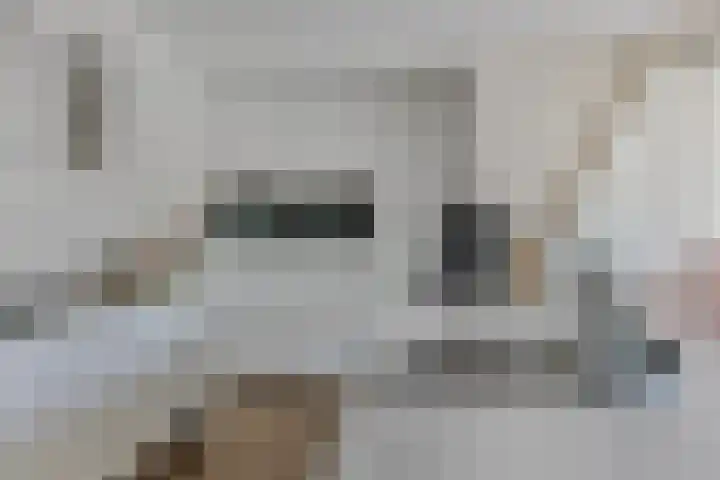 Toon Slurinkhof 79 Kampen thumbnail 19