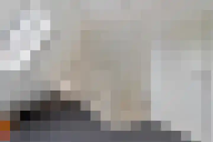 Toon Slurinkhof 79 Kampen thumbnail 22