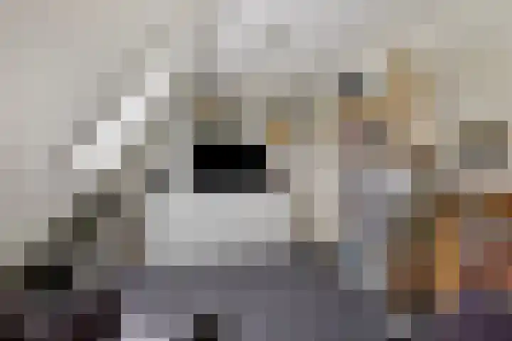 Toon Slurinkhof 79 Kampen thumbnail 24