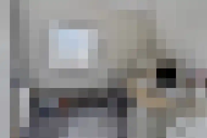Toon Slurinkhof 79 Kampen thumbnail 25