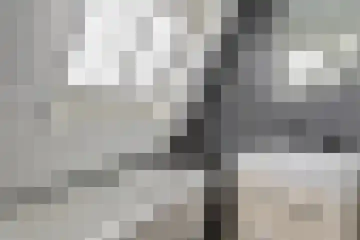 Toon Slurinkhof 79 Kampen thumbnail 27