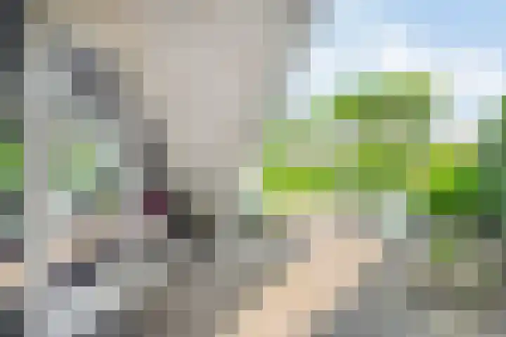 Toon Slurinkhof 79 Kampen thumbnail 29