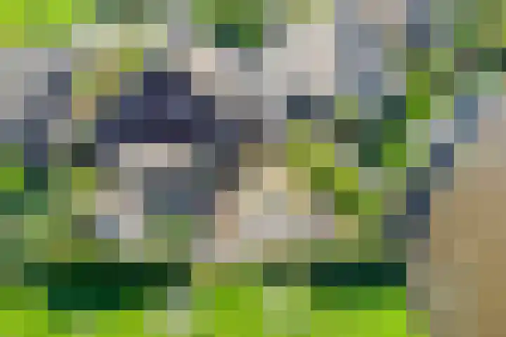 Toon Slurinkhof 79 Kampen thumbnail 31