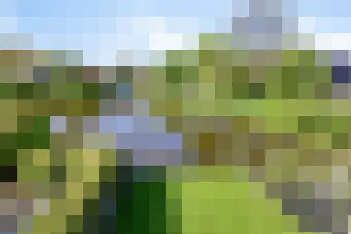 Toon Slurinkhof 79 Kampen thumbnail 32