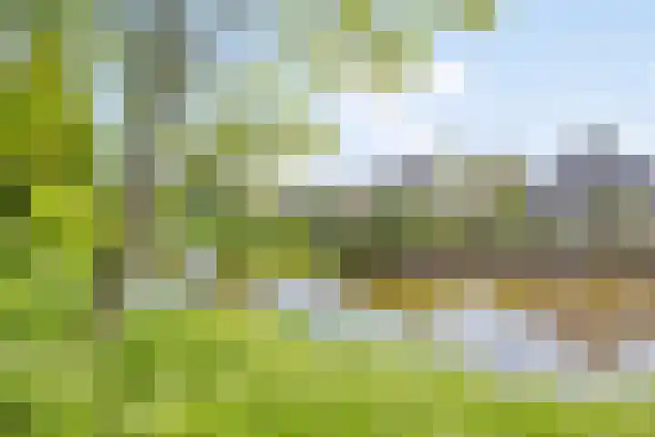 Toon Slurinkhof 79 Kampen thumbnail 33