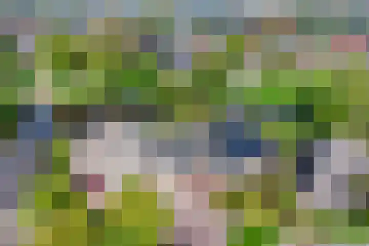 Toon Slurinkhof 79 Kampen thumbnail 34