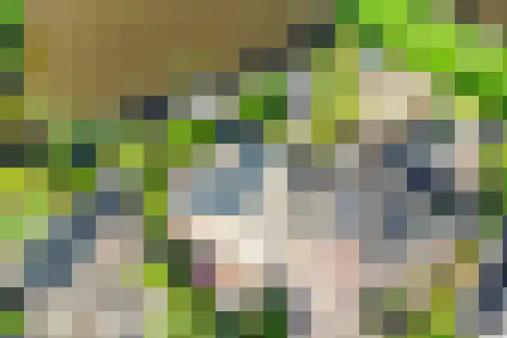 Toon Slurinkhof 79 Kampen thumbnail 35