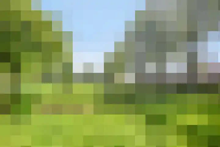 Toon Slurinkhof 79 Kampen thumbnail 37
