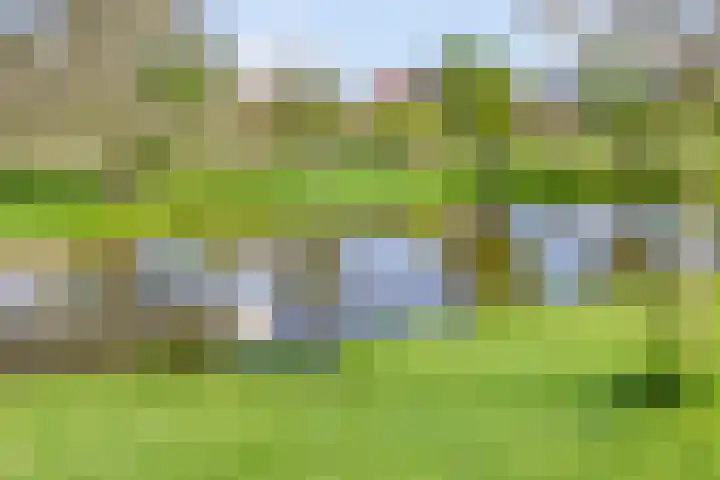 Toon Slurinkhof 79 Kampen thumbnail 38