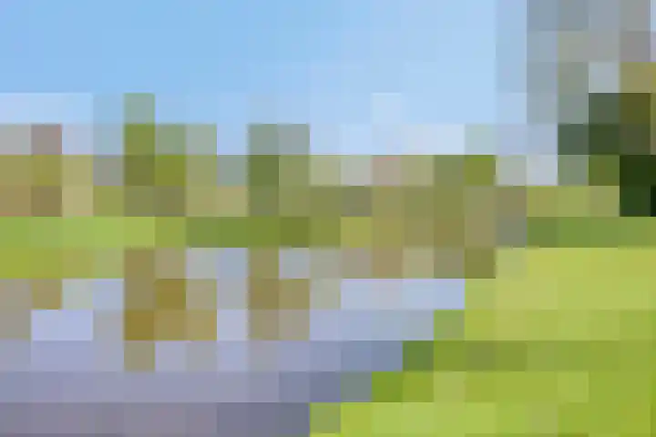 Toon Slurinkhof 79 Kampen thumbnail 39