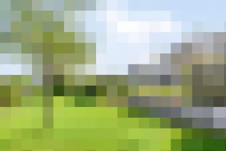 Toon Slurinkhof 79 Kampen thumbnail 6