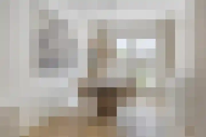 Toon van den Bornestraat 4 Hooge Mierde thumbnail 11