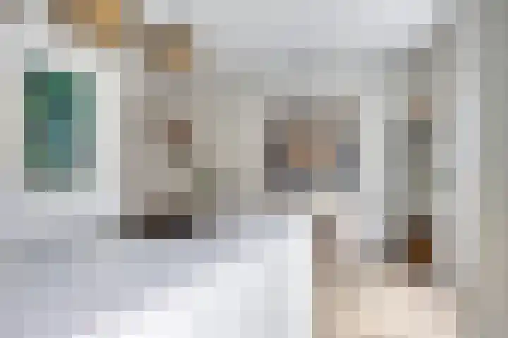 Toon van den Bornestraat 4 Hooge Mierde thumbnail 13