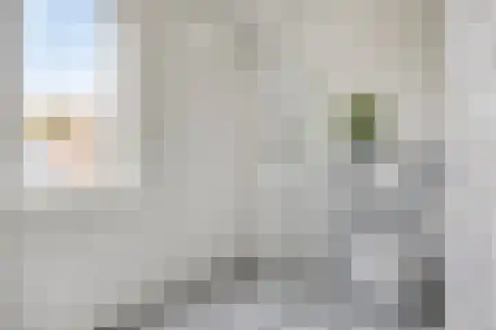 Toon van den Bornestraat 4 Hooge Mierde thumbnail 22