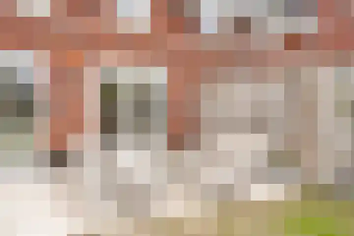 Toon van den Bornestraat 4 Hooge Mierde thumbnail 33