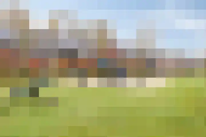Toon van den Bornestraat 4 Hooge Mierde thumbnail 37