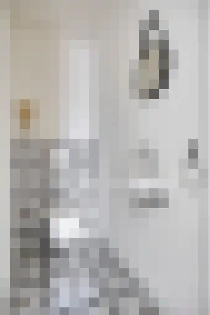 Toon van den Bornestraat 4 Hooge Mierde thumbnail 6