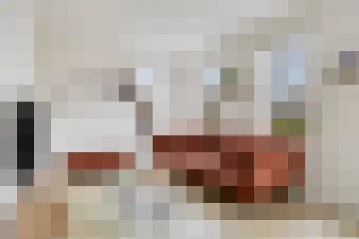 Toon van den Bornestraat 4 Hooge Mierde thumbnail 8