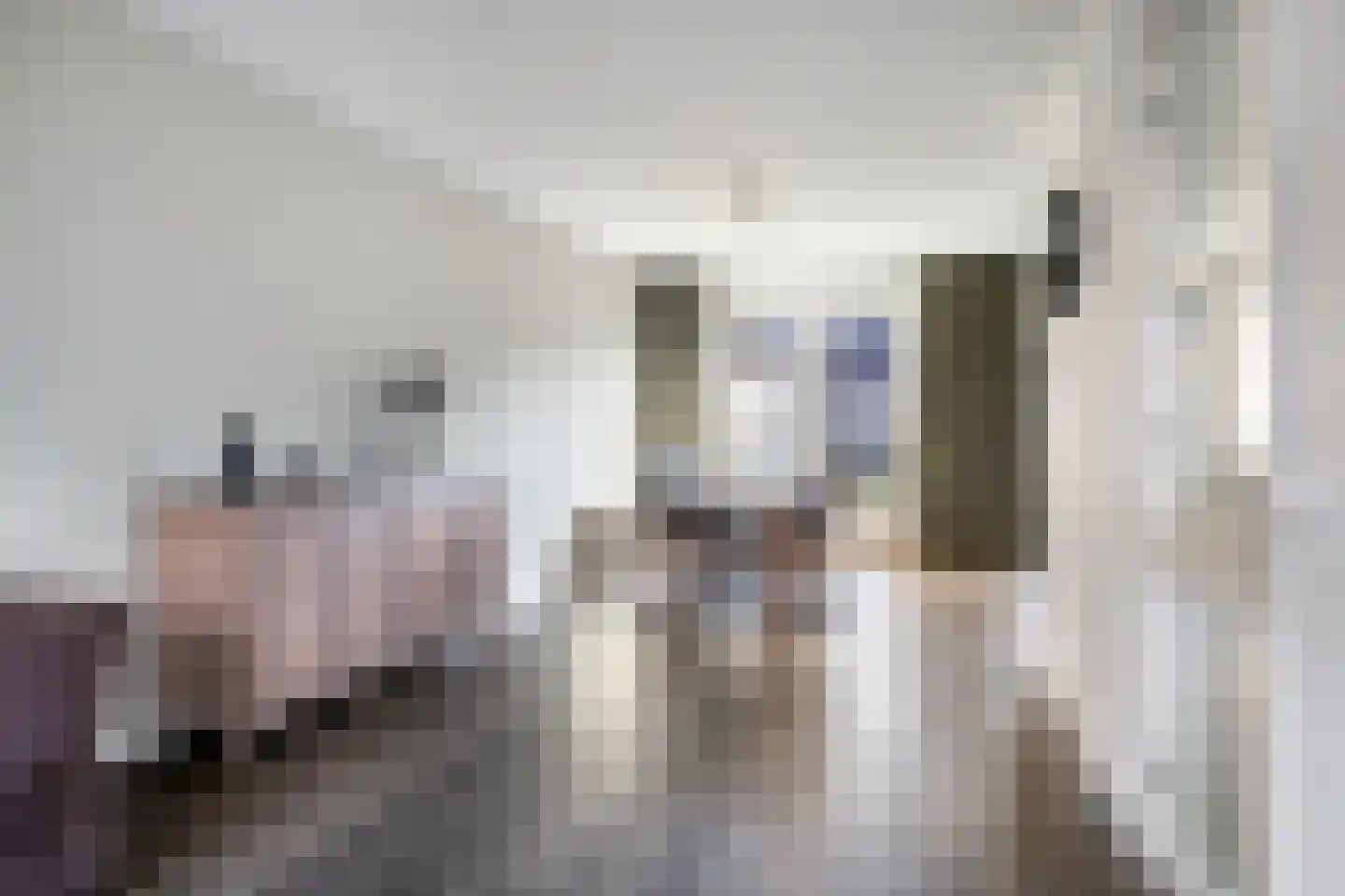 Toon van den Bornestraat 6 Hooge Mierde thumbnail 13