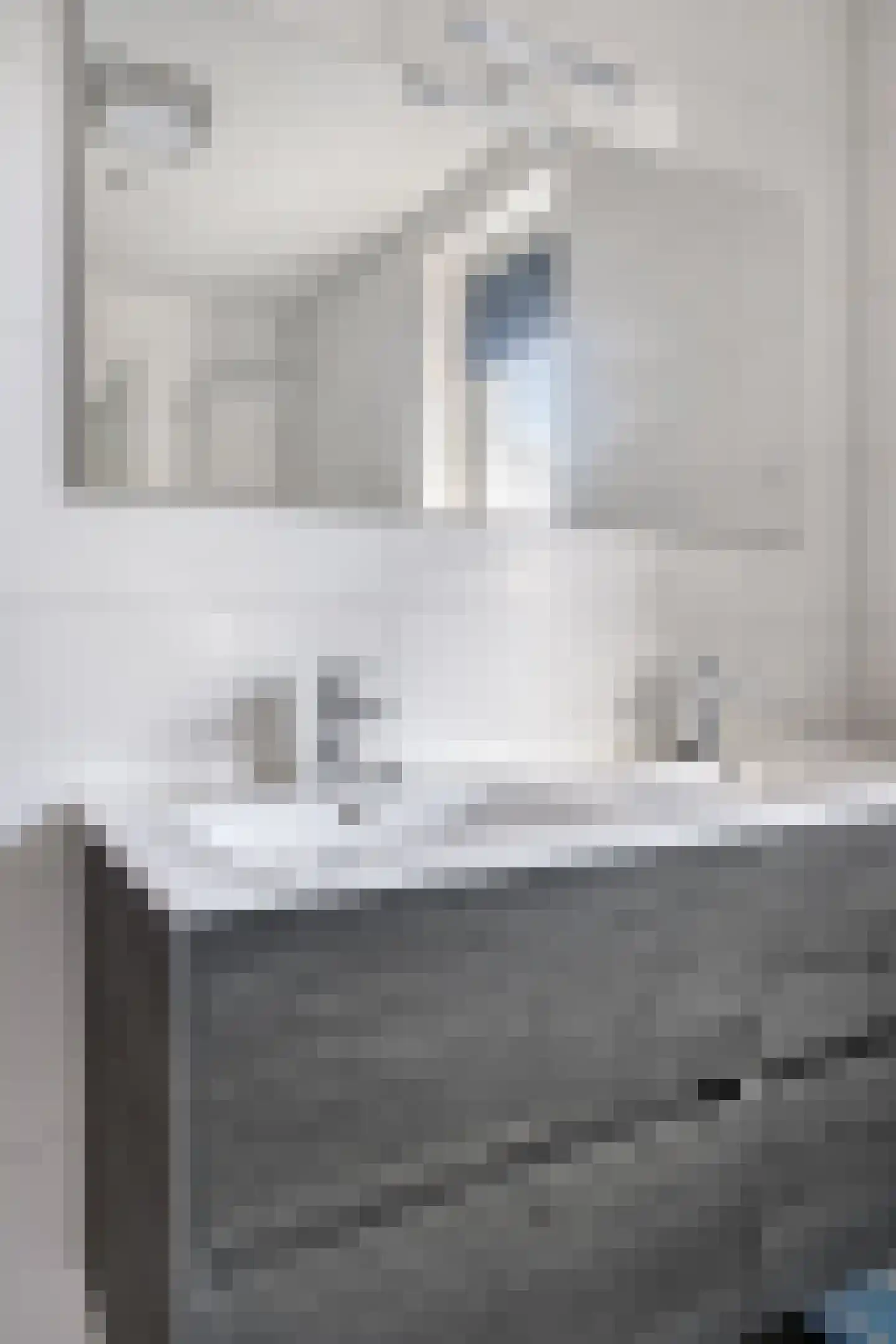 Toon van den Bornestraat 6 Hooge Mierde thumbnail 28