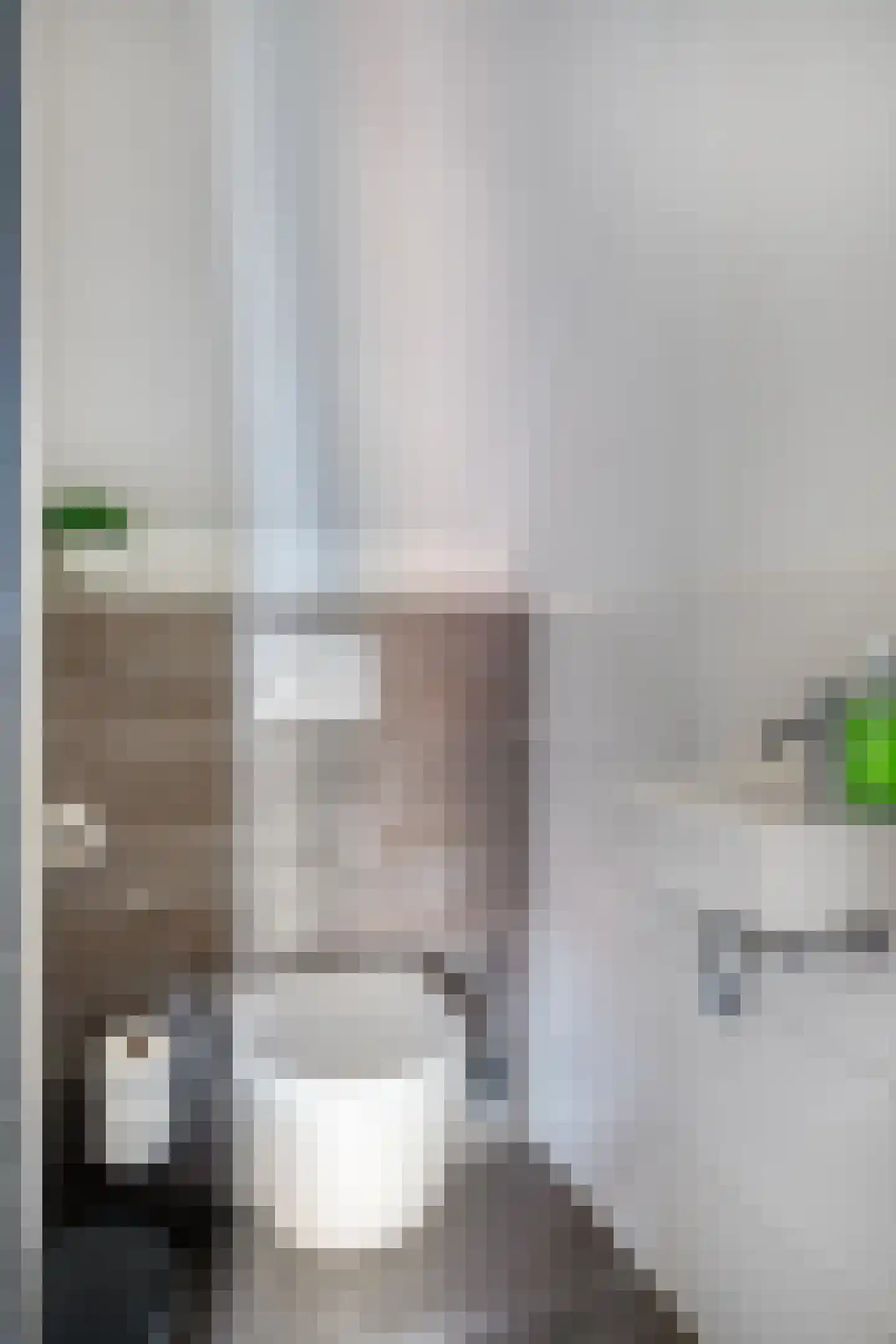 Toon van den Bornestraat 6 Hooge Mierde thumbnail 8