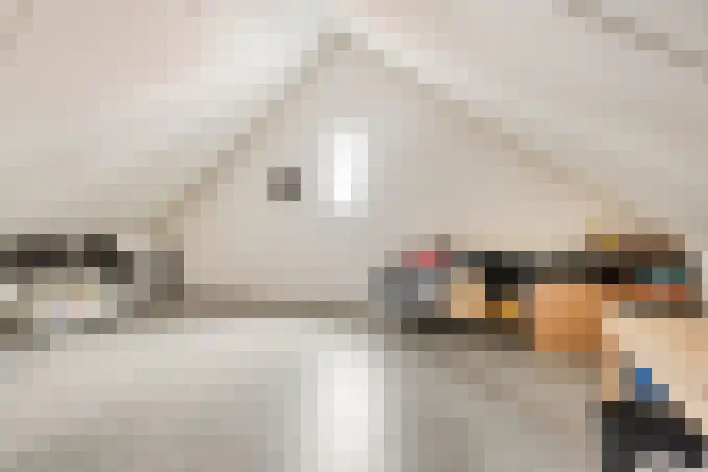 Toon van den Bornestraat 8 C Hooge Mierde thumbnail 22