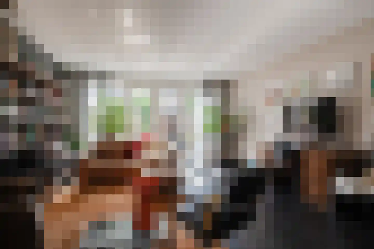 Toon van Dijkstraat 4 Cothen thumbnail 10