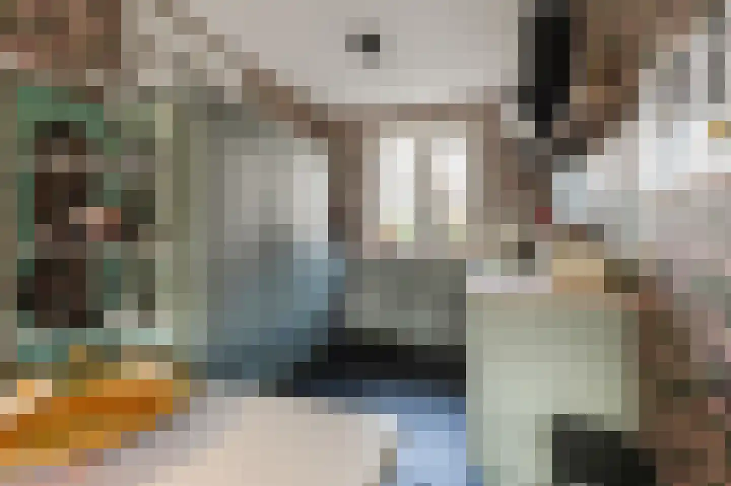 Toon van Dijkstraat 4 Cothen thumbnail 15