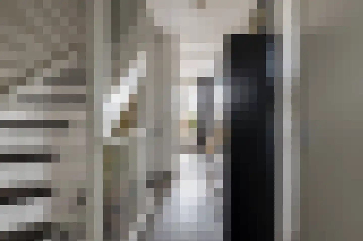 Toon van Dijkstraat 4 Cothen thumbnail 22