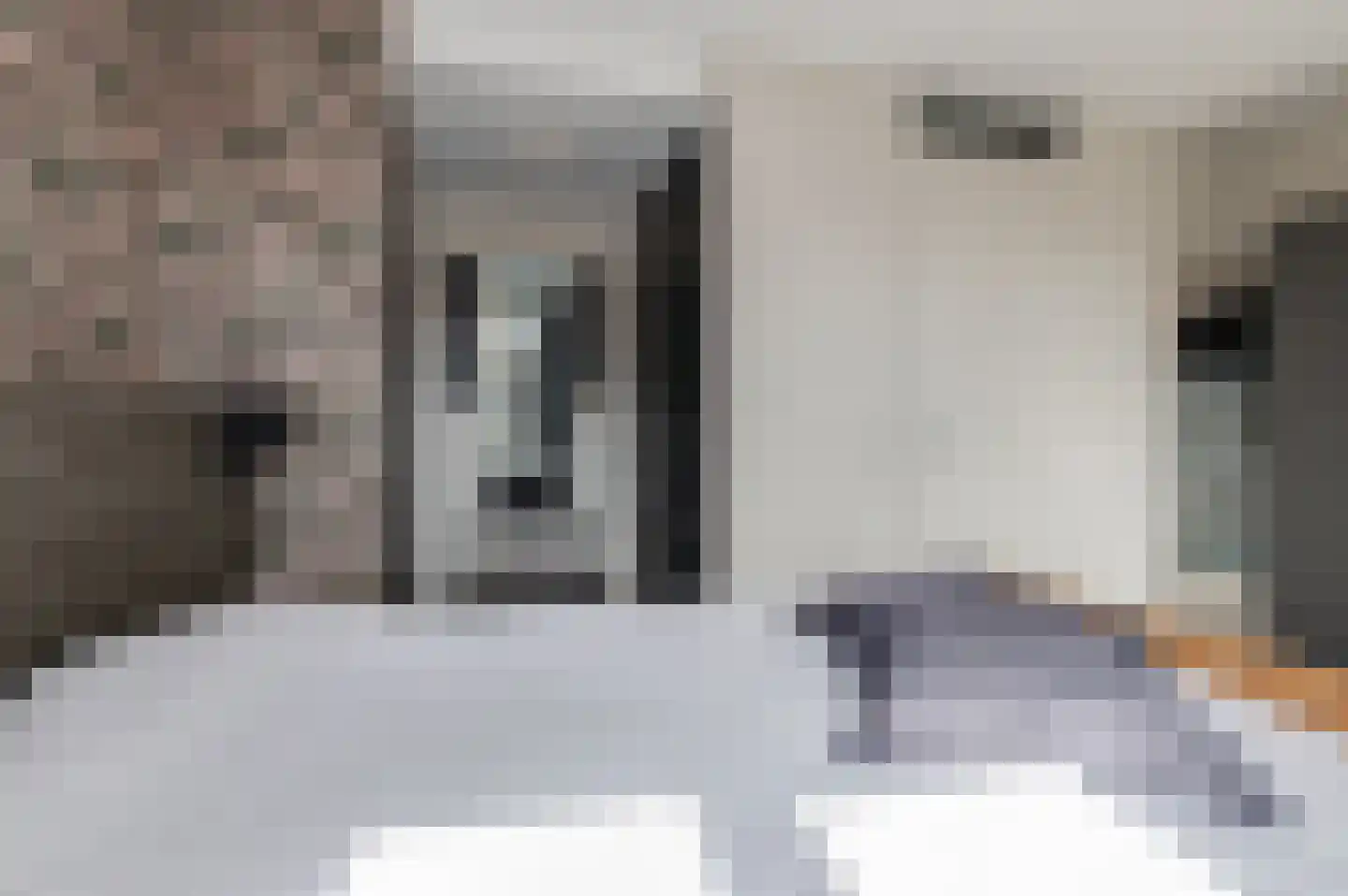 Toon van Dijkstraat 4 Cothen thumbnail 25