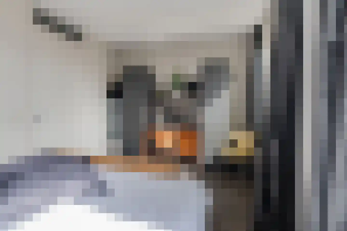 Toon van Dijkstraat 4 Cothen thumbnail 26