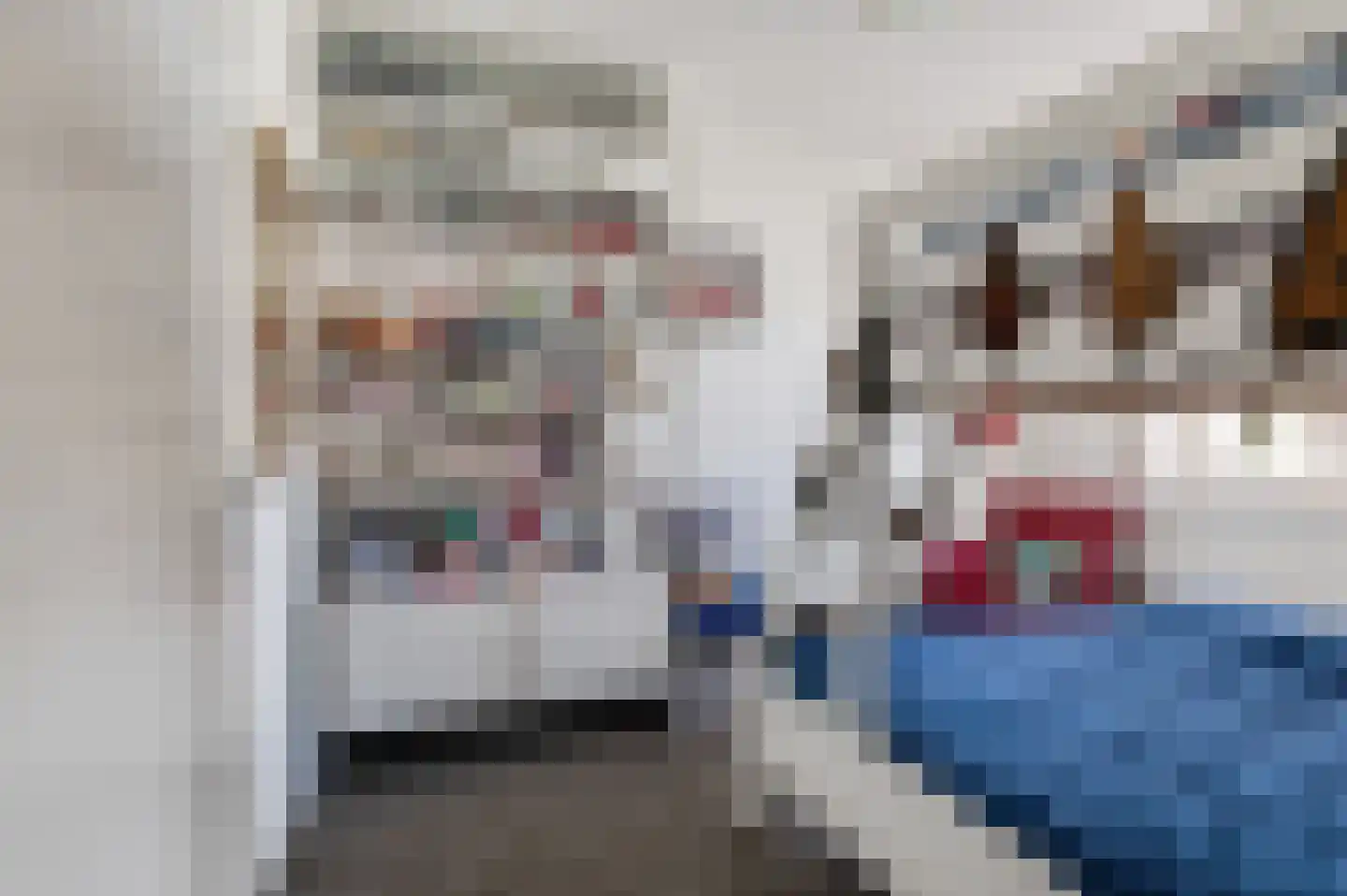 Toon van Dijkstraat 4 Cothen thumbnail 27