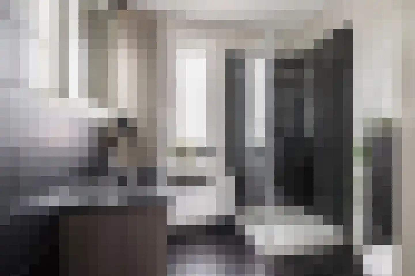 Toon van Dijkstraat 4 Cothen thumbnail 29