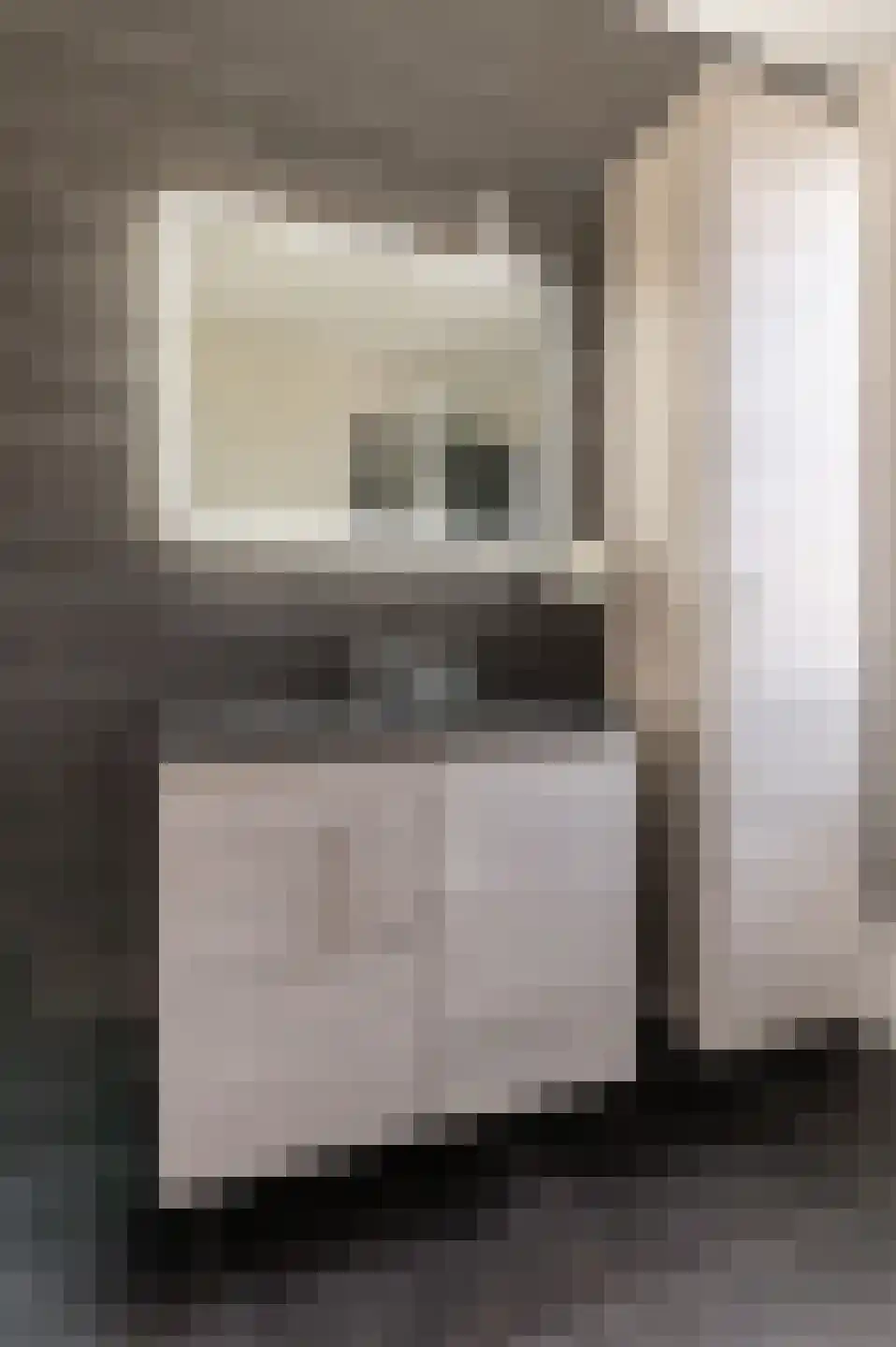 Toon van Dijkstraat 4 Cothen thumbnail 31