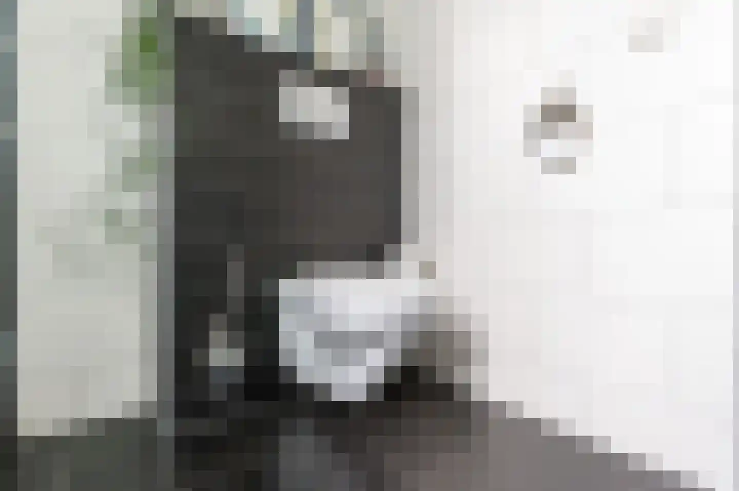 Toon van Dijkstraat 4 Cothen thumbnail 33