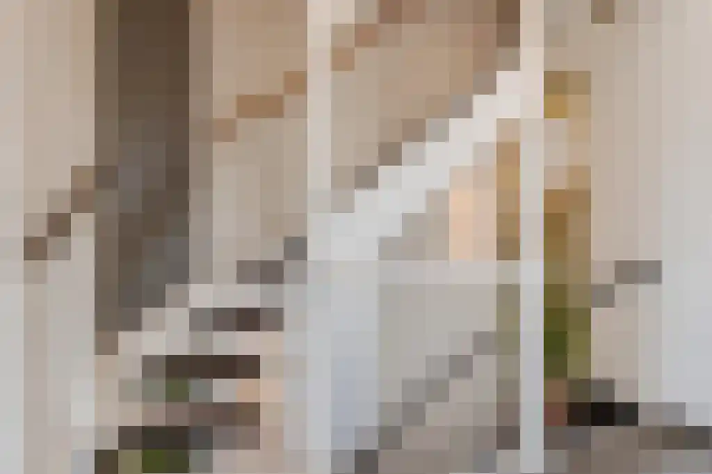 Toon van Dijkstraat 4 Cothen thumbnail 35