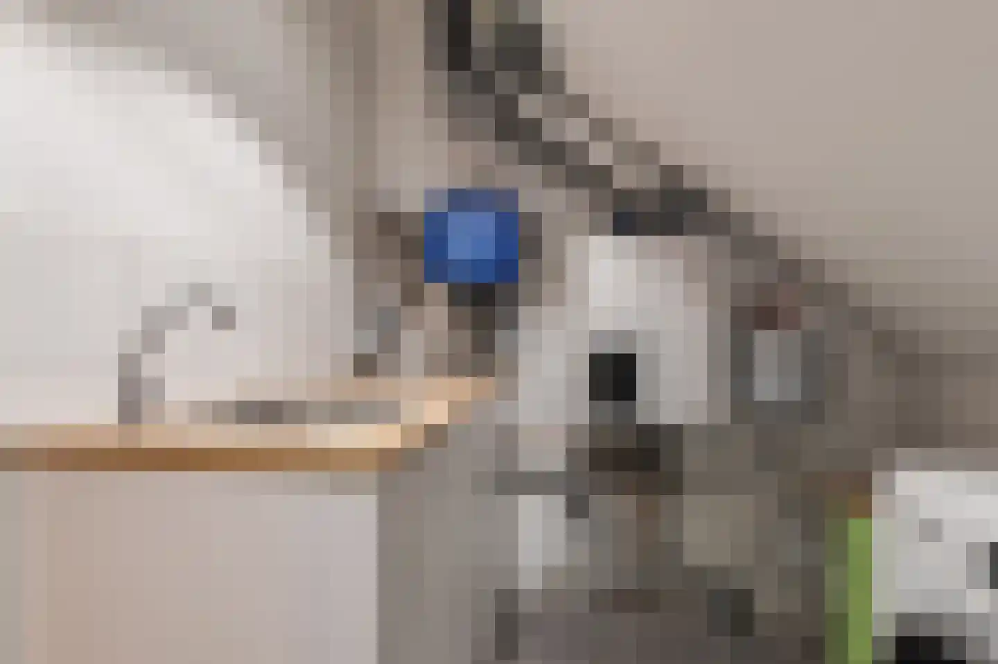 Toon van Dijkstraat 4 Cothen thumbnail 37