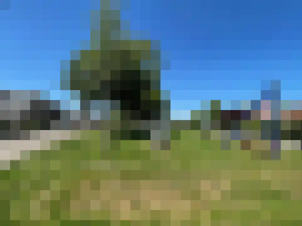 Toon van Dijkstraat 4 Cothen thumbnail 44