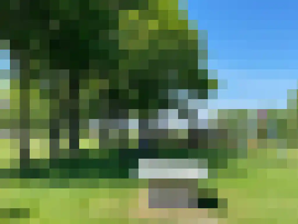 Toon van Dijkstraat 4 Cothen thumbnail 45