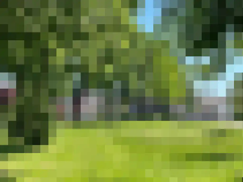 Toon van Dijkstraat 4 Cothen thumbnail 46