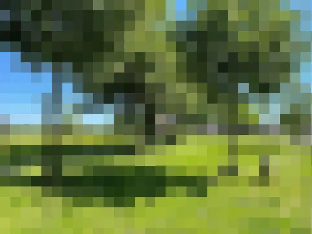 Toon van Dijkstraat 4 Cothen thumbnail 47
