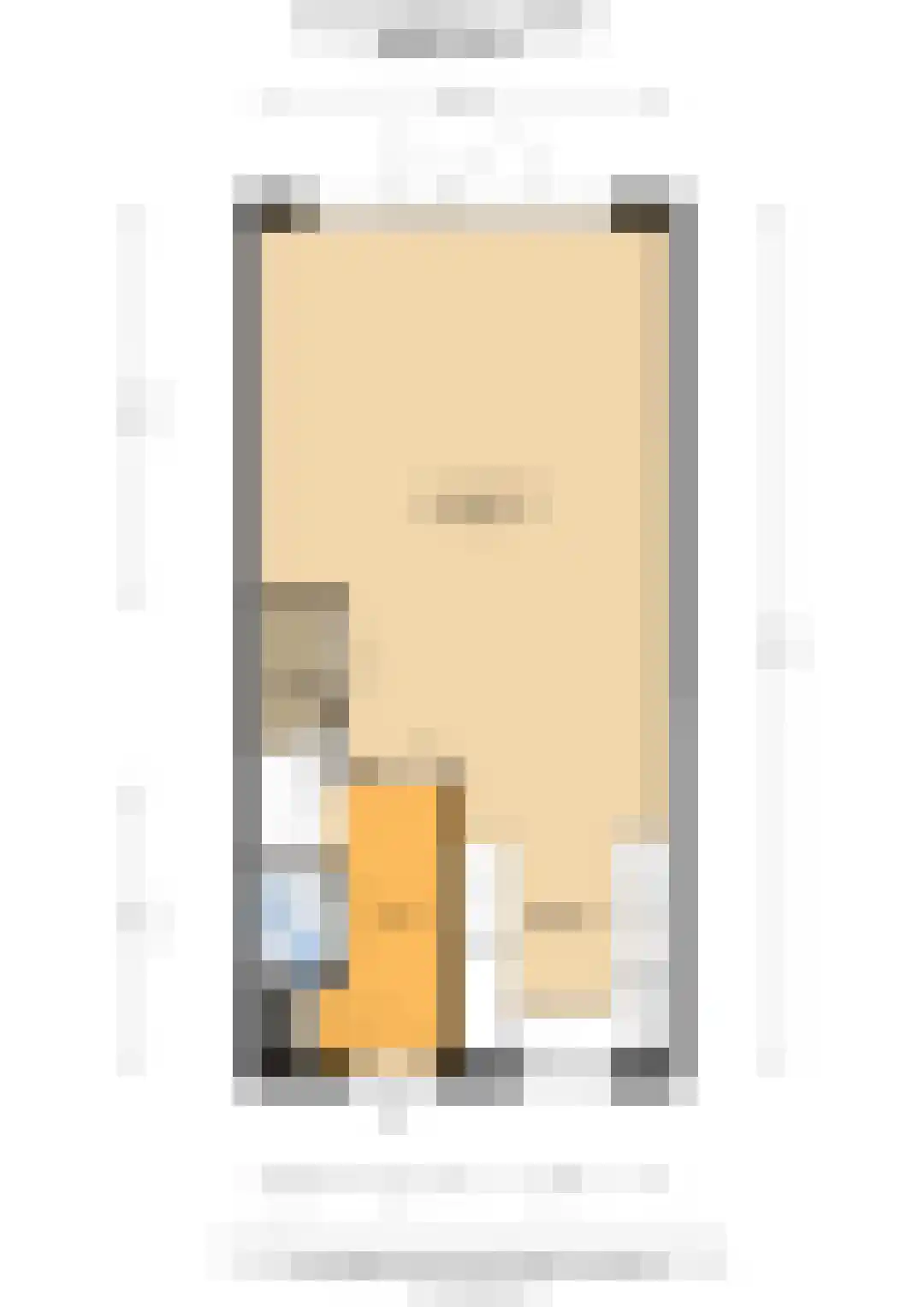 Toon van Dijkstraat 4 Cothen thumbnail 50