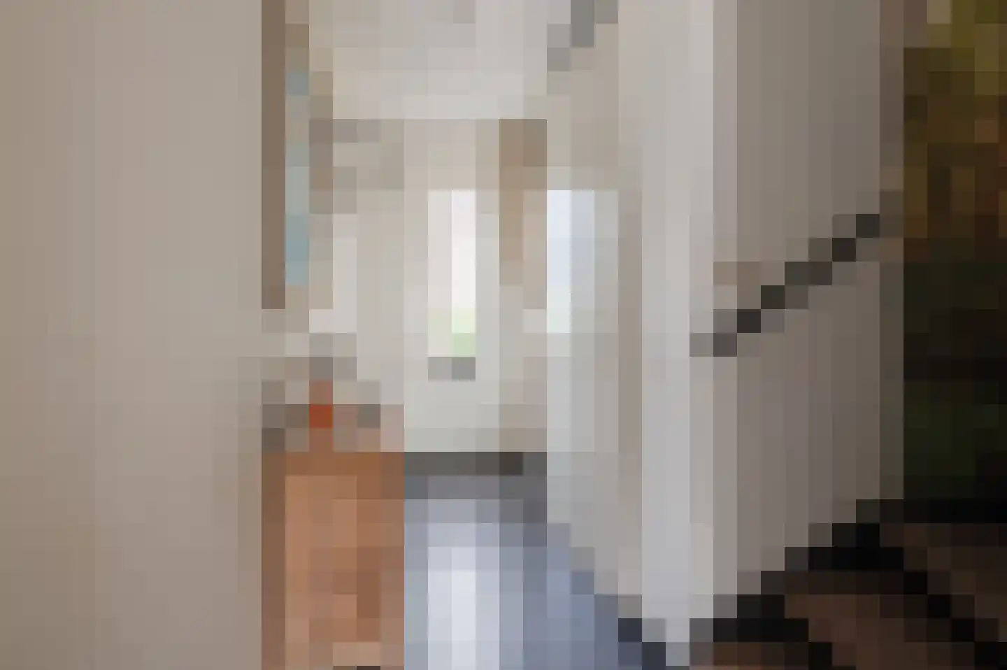 Toon van Dijkstraat 4 Cothen thumbnail 6